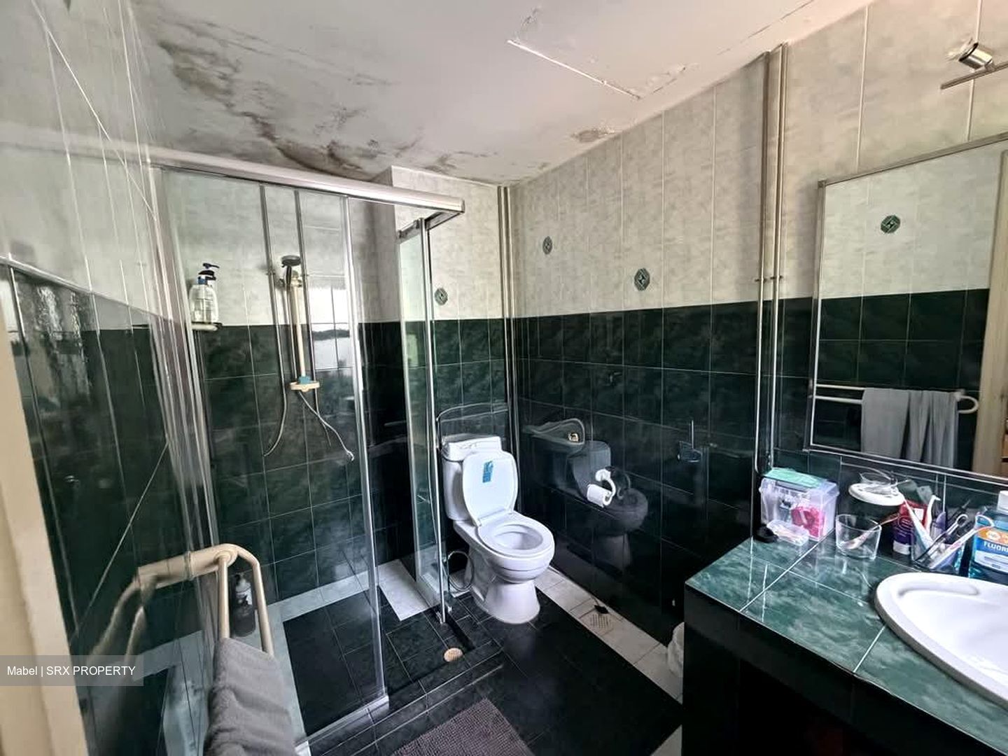 Oxley Garden (D9), Apartment #582096361